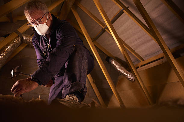 Best Insulation Maintenance and Repair in Reading, MI